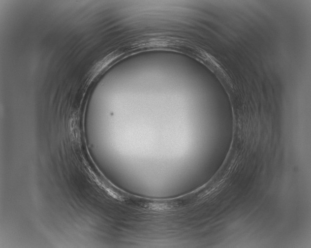 X0000051240794200507011625