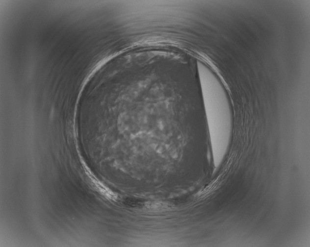 X0000051240795200507011625