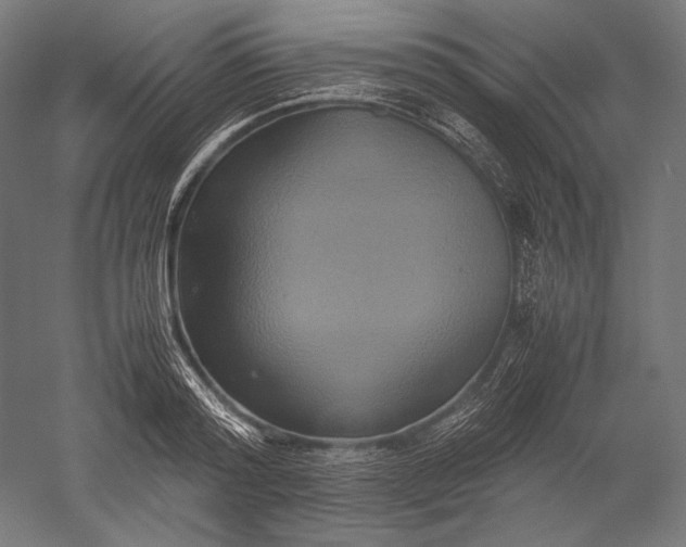 X0000051240796200507011625