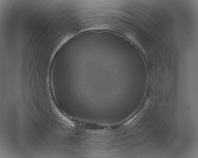 X0000051240797200507011625