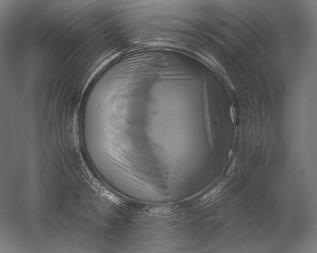 X0000051240798200507011625