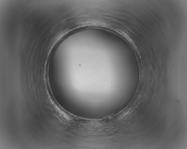 X0000051240799200507011625