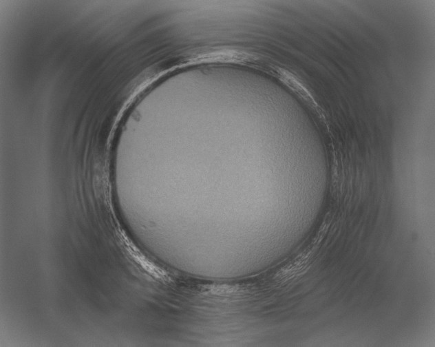 X0000051240800200507011624