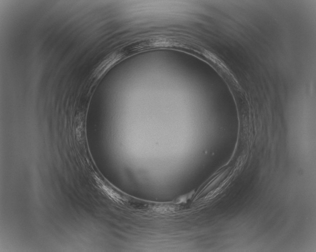 X0000051240801200507011624