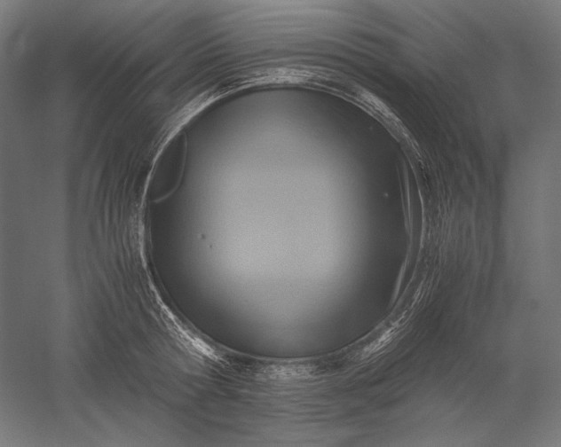 X0000051240802200507011624