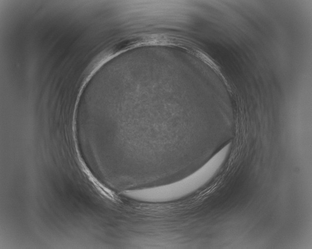 X0000051240803200507011624