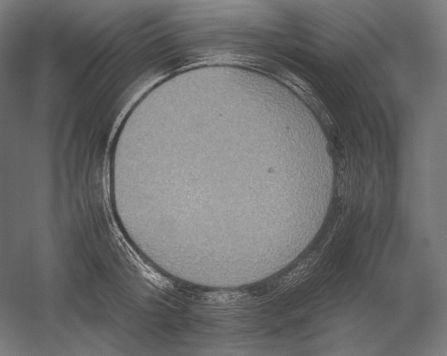 X0000051240804200507011624