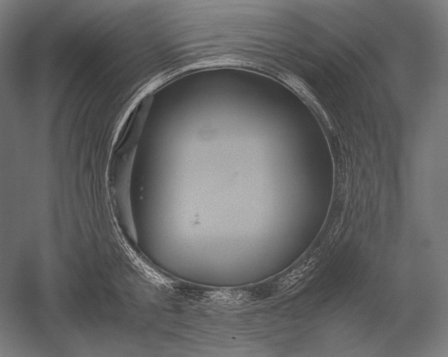 X0000051240805200507011624