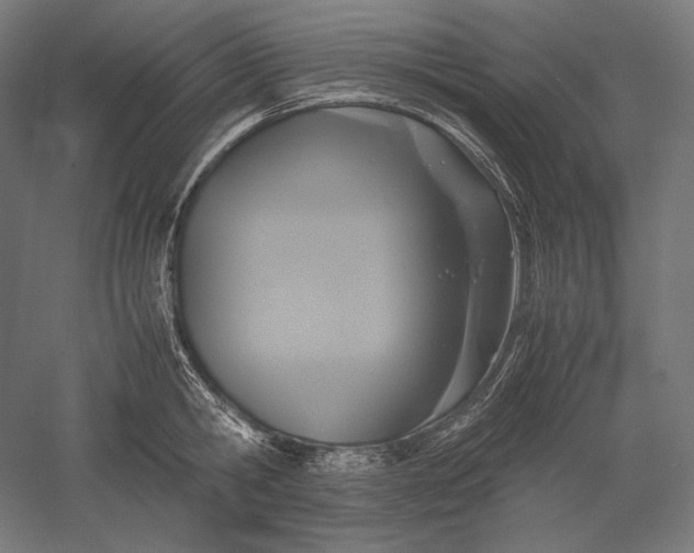 X0000051240806200507011624