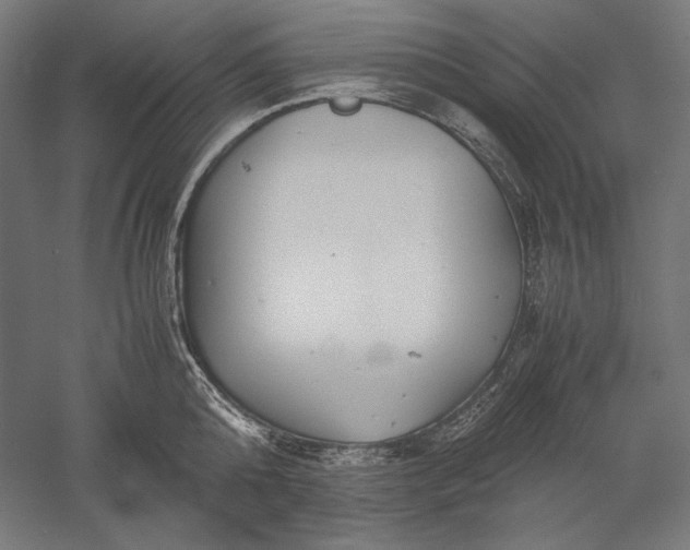 X0000051240808200507011624