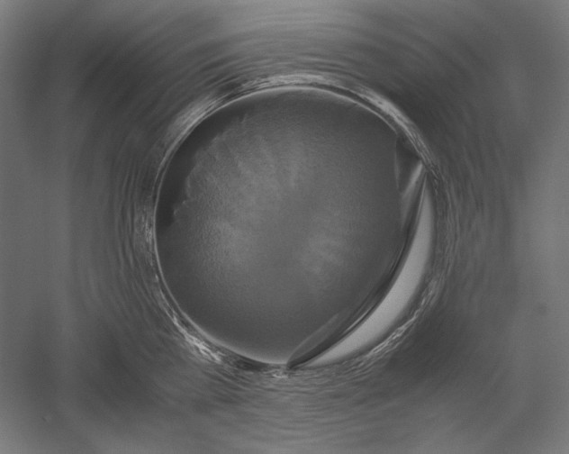 X0000051240809200507011624