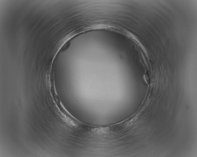 X0000051240810200507011624