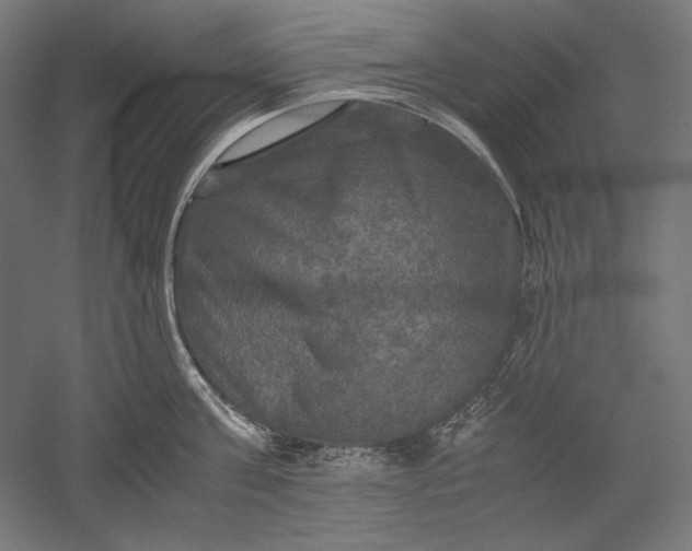 X0000051240811200507011624