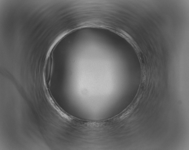 X0000051240812200507011624