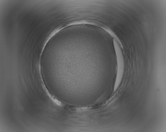 X0000051240813200507011624