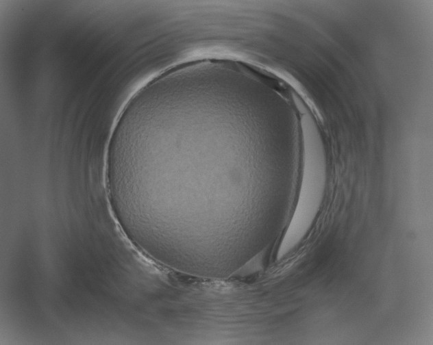 X0000051240815200507011624