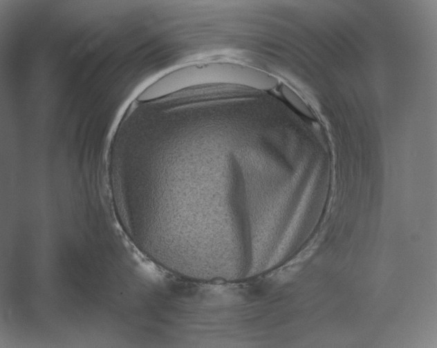 X0000051240816200507011624