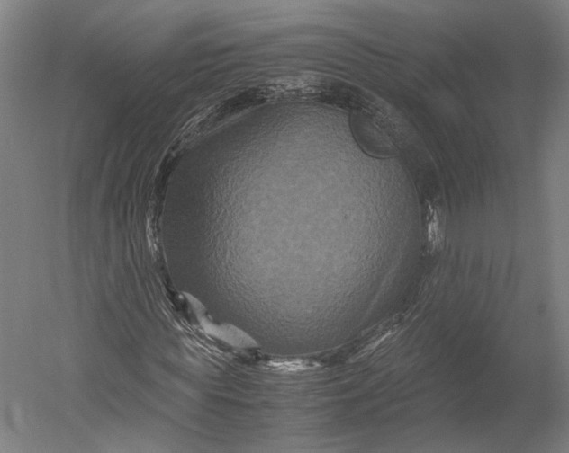 X0000051240819200507011623