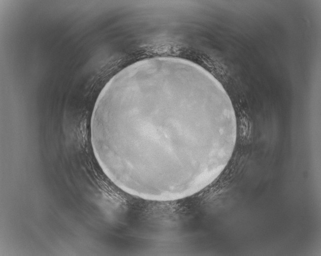 X0000051240820200507011623