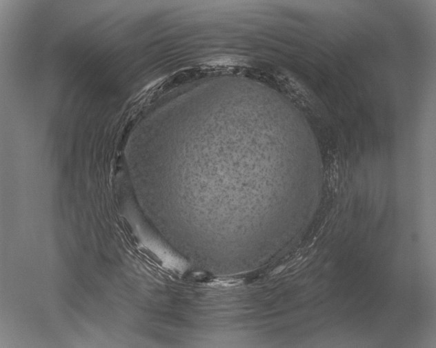 X0000051240821200507011623