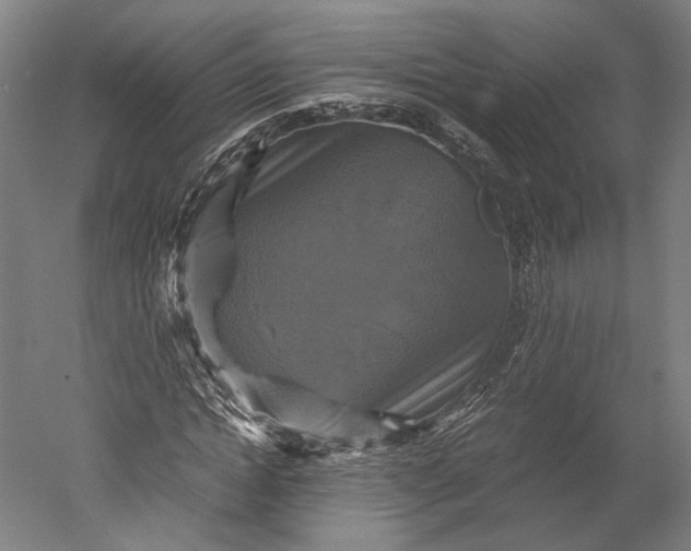 X0000051240822200507011623