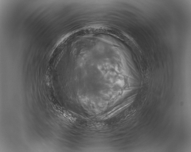 X0000051240823200507011623