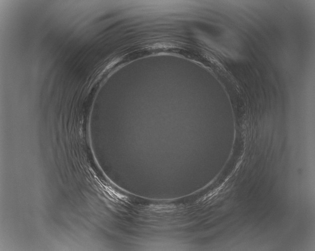 X0000051240825200507011624