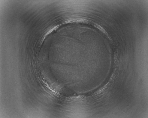 X0000051240826200507011624