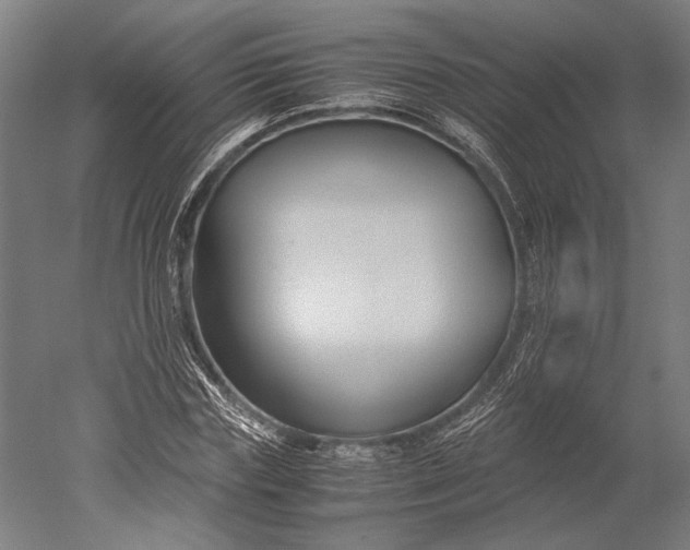 X0000051240827200507011624