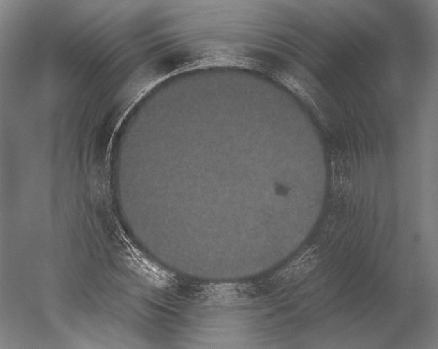 X0000051240828200507011624