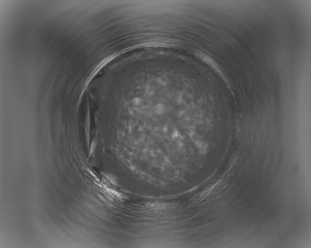 X0000051240829200507011624