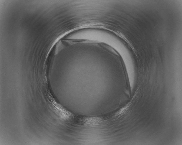 X0000051240830200507011624