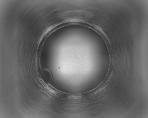 X0000051240831200507011624