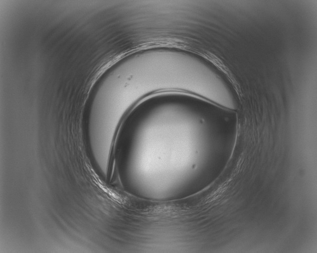 X0000051240834200507011624