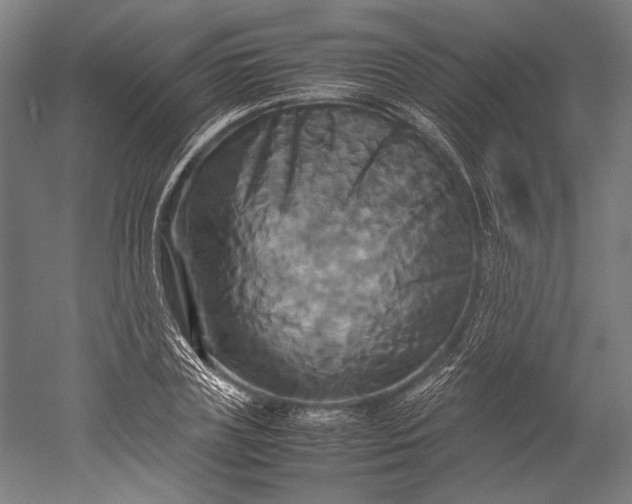 X0000051240835200507011624