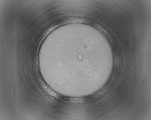 X0000051240836200507011624