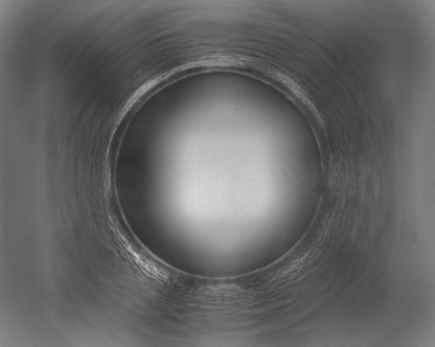 X0000051240837200507011624