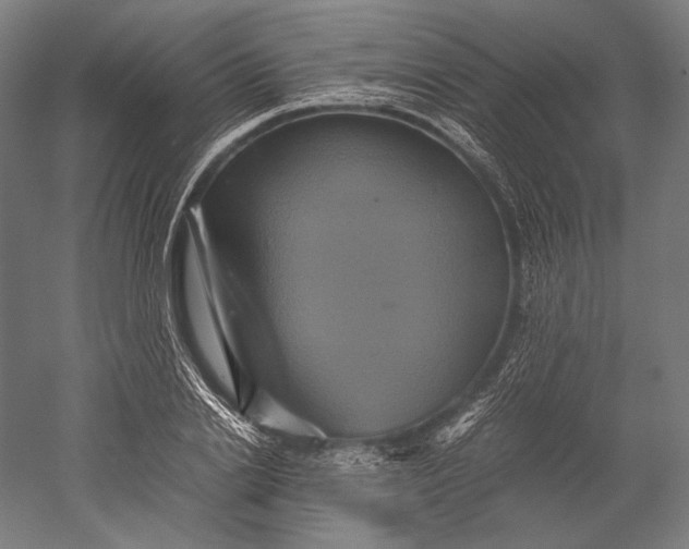 X0000051240838200507011624