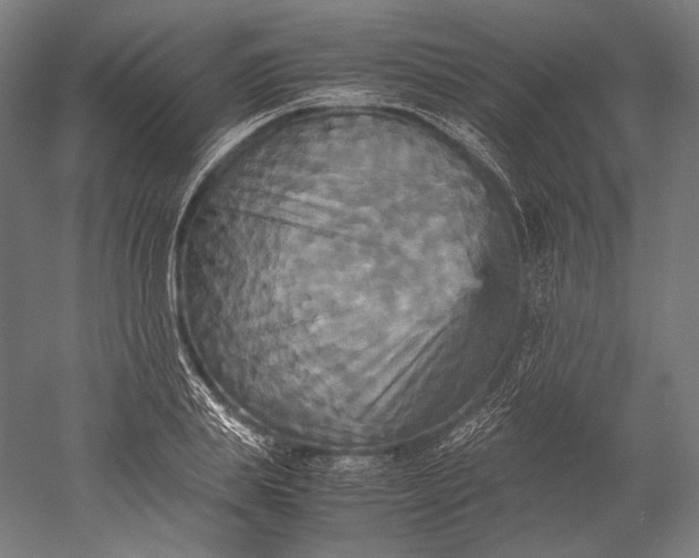 X0000051240839200507011624