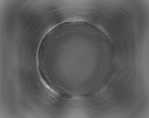 X0000051240840200507011624