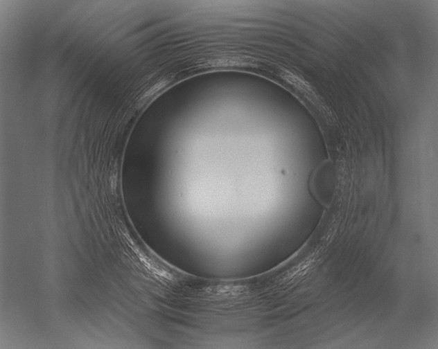 X0000051240841200507011624