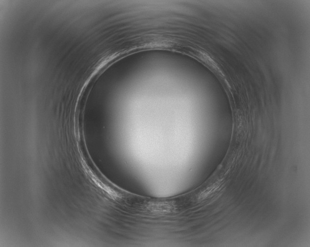 X0000051240843200507011624