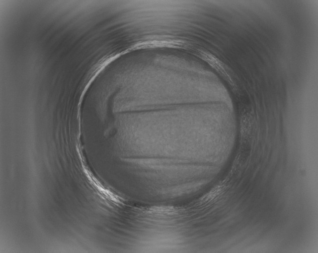 X0000051240844200507011624