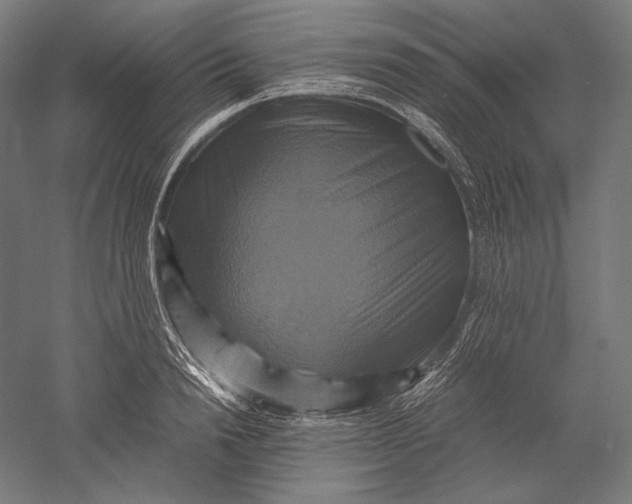 X0000051240846200507011624