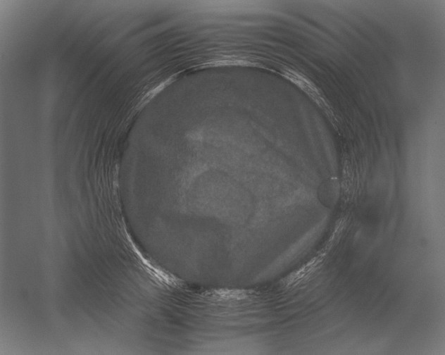 X0000051240849200507011624