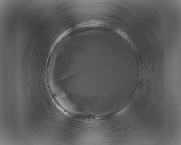 X0000051240850200507011624