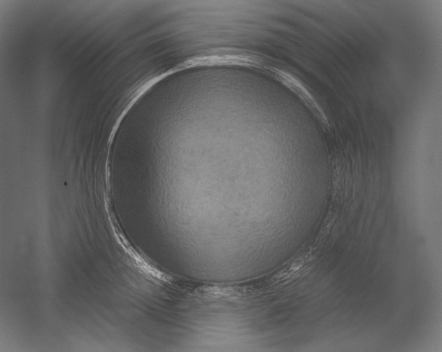 X0000051240852200507011624