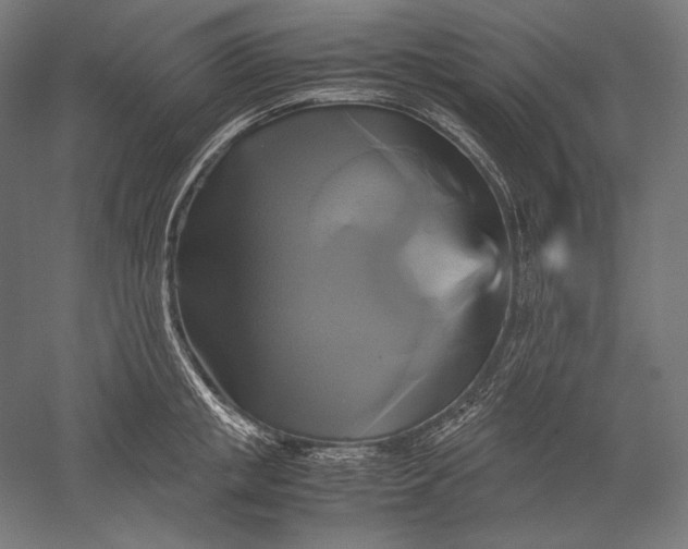 X0000051240853200507011624