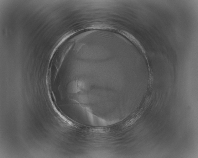 X0000051240855200507011624