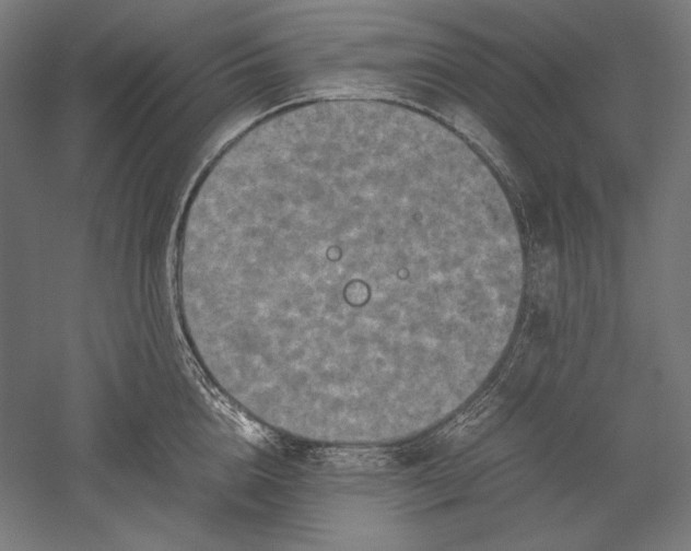 X0000051240856200507011624